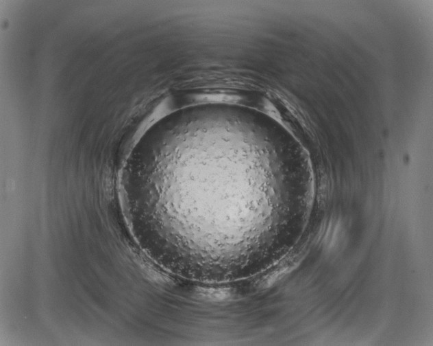 X0000083980469200702161108
