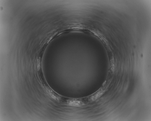 X0000083980471200702161108