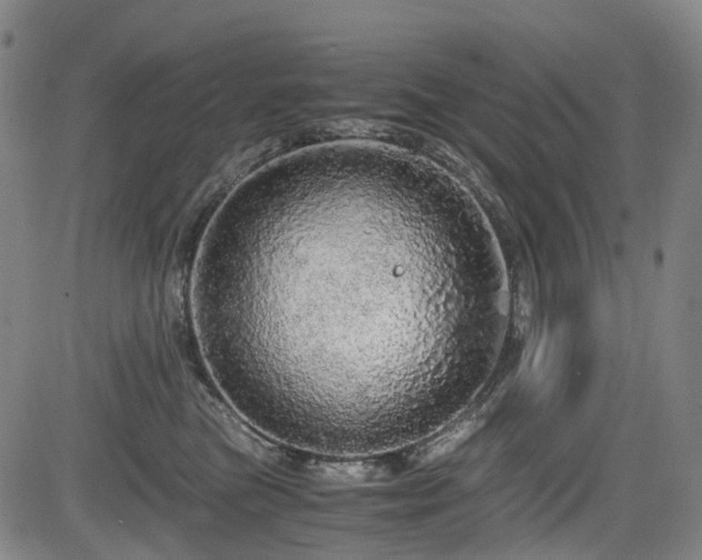 X0000083980473200702161108