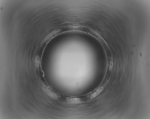 X0000083980476200702161108