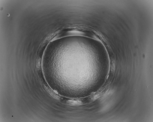 X0000083980477200702161108