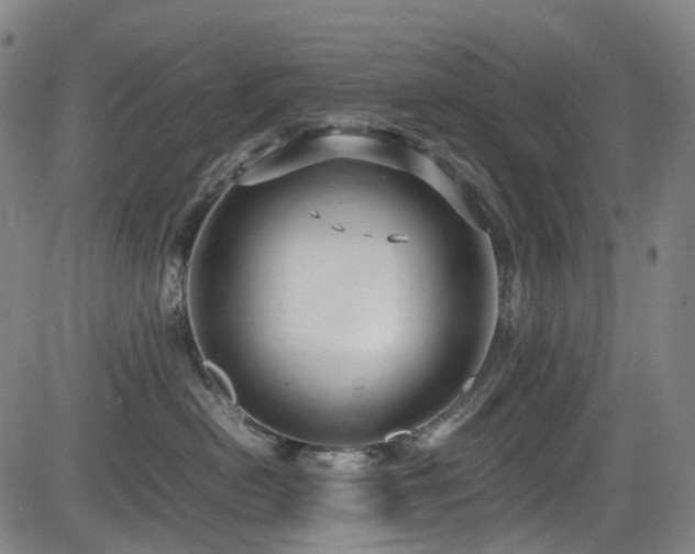 X0000083980478200702161108