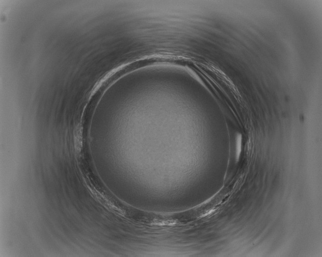 X0000083980484200702161107