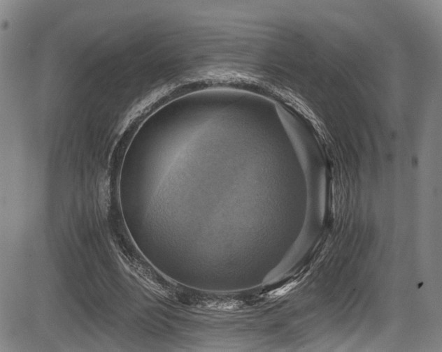 X0000083980488200702161107