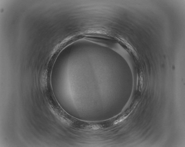 X0000083980492200702161107