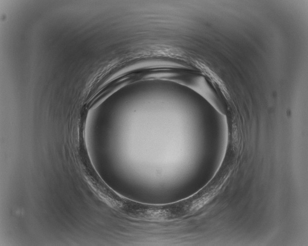 X0000083980493200702161107