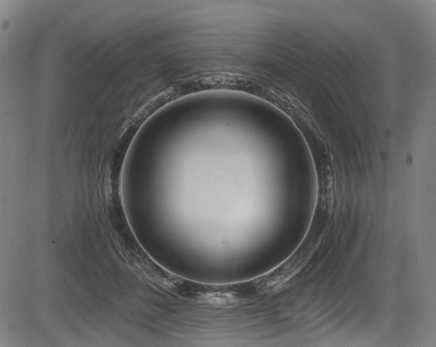 X0000083980508200702161107