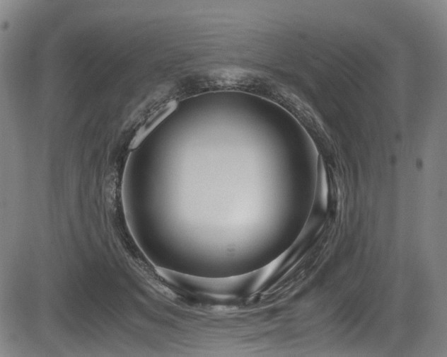 X0000083980509200702161107