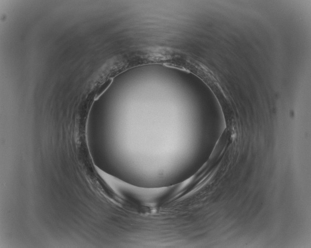 X0000083980512200702161107