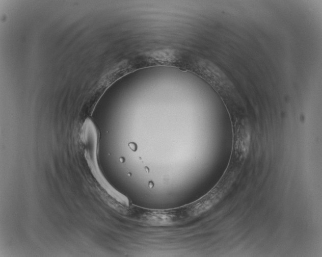 X0000083980518200702161107