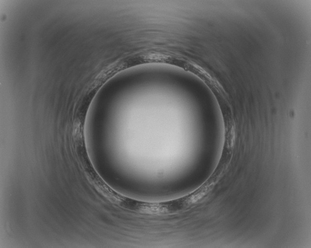 X0000083980521200702161107