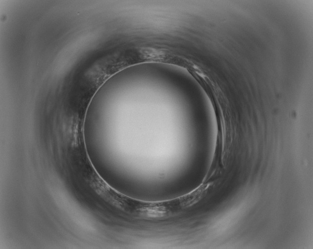 X0000083980525200702161107