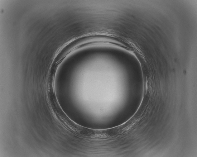 X0000083980536200702161106