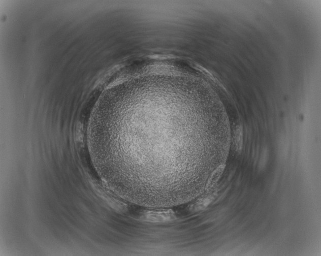 X0000083980571200702161106