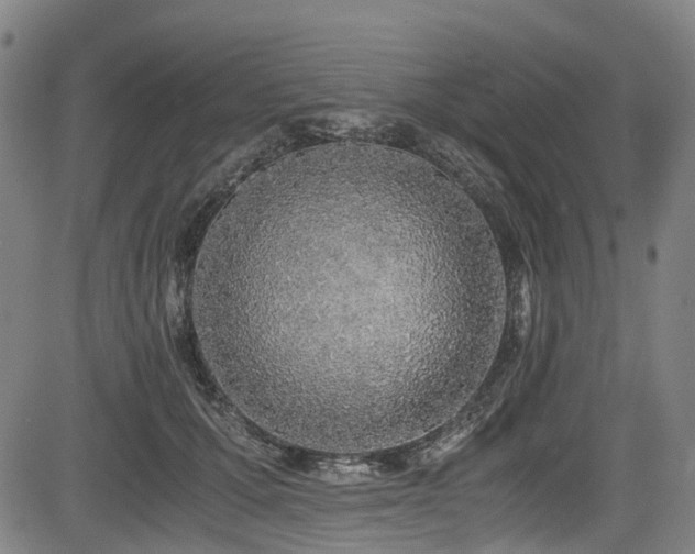 X0000083980607200702161105