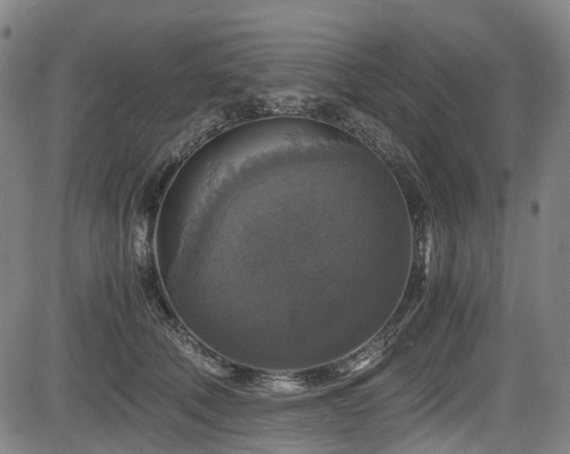 X0000083980610200702161105