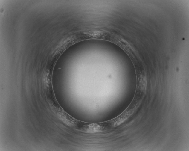 X0000083980612200702161105