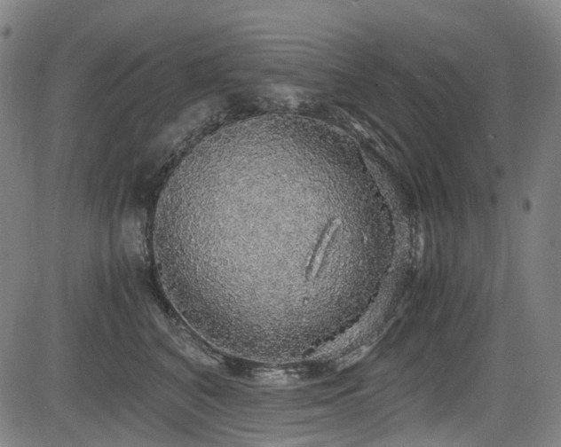 X0000083980616200702161105