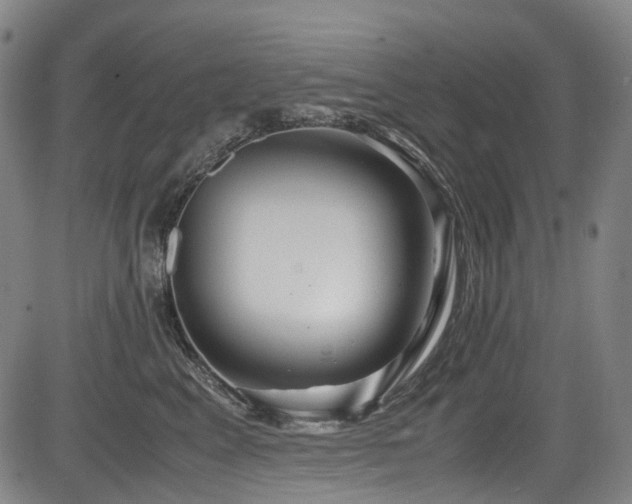X0000083980617200702161105