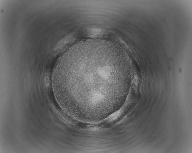 X0000083980620200702161105