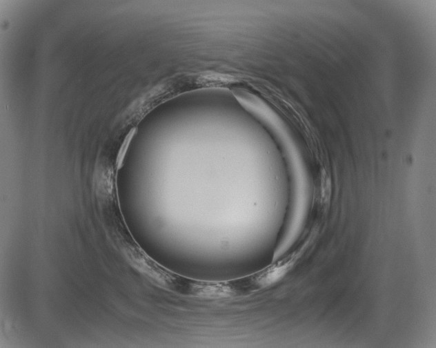 X0000083980621200702161105