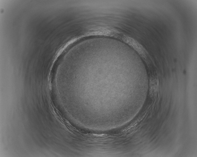 X0000083980628200702161104