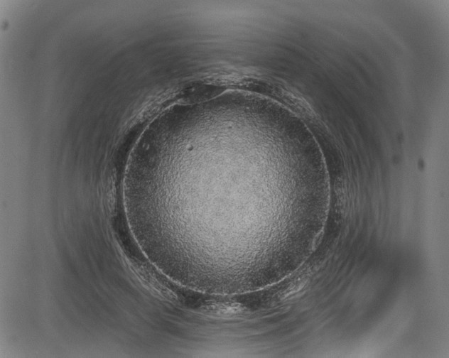X0000083980642200702161105