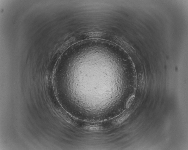 X0000083980655200702161105