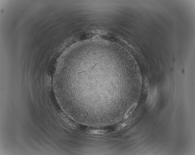X0000083980657200702161105