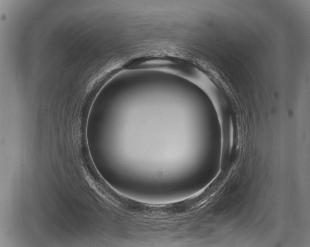 X0000083980677200702161104