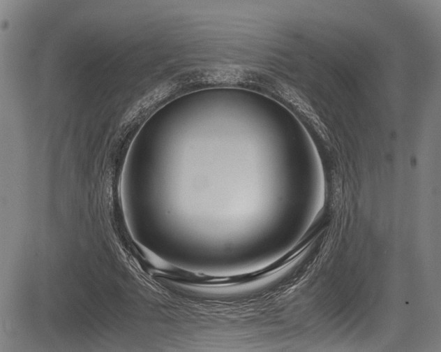 X0000083980681200702161104