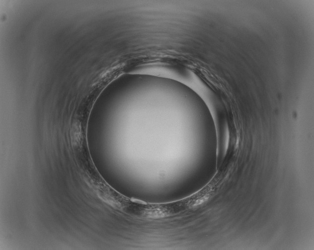 X0000083980704200702161104