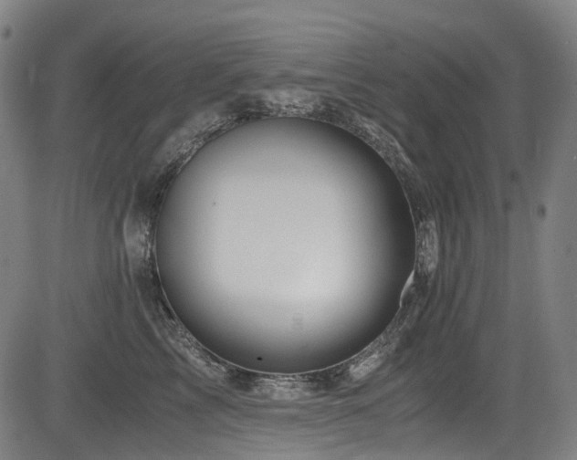 X0000083980713200702161104