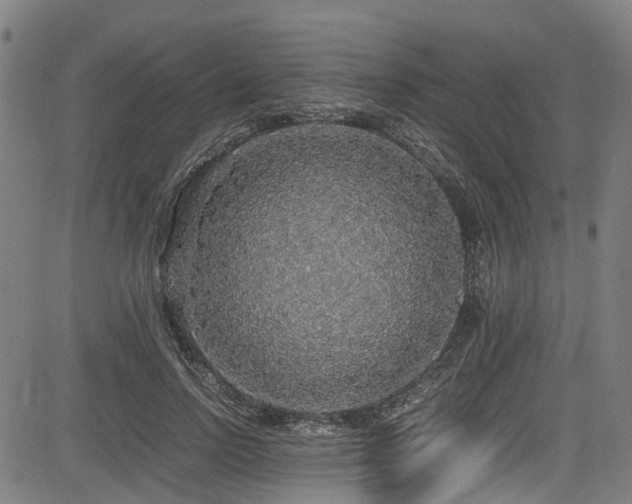 X0000083980742200702161103