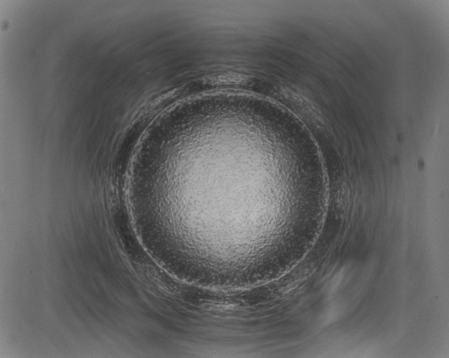 X0000083980743200702161103