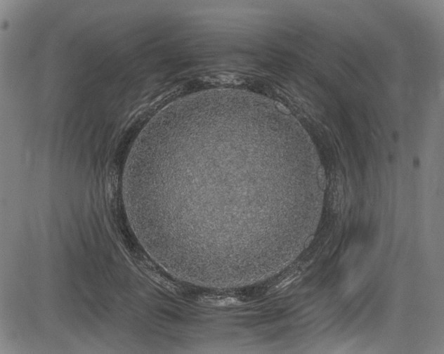 X0000083980747200702161103