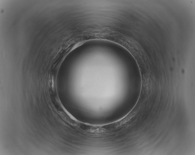 X0000083980752200702161103