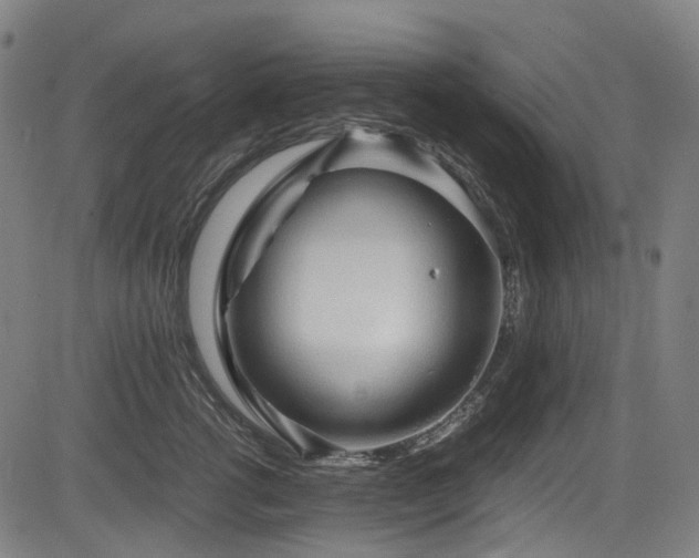 X0000083980762200702161103