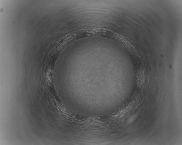 X0000083980770200702161103