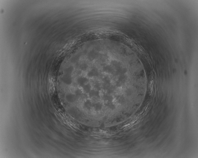 X0000083980772200702161103