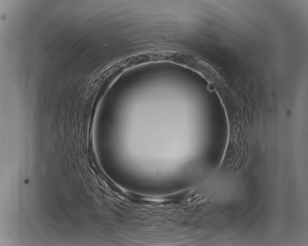 X0000083980773200702161103