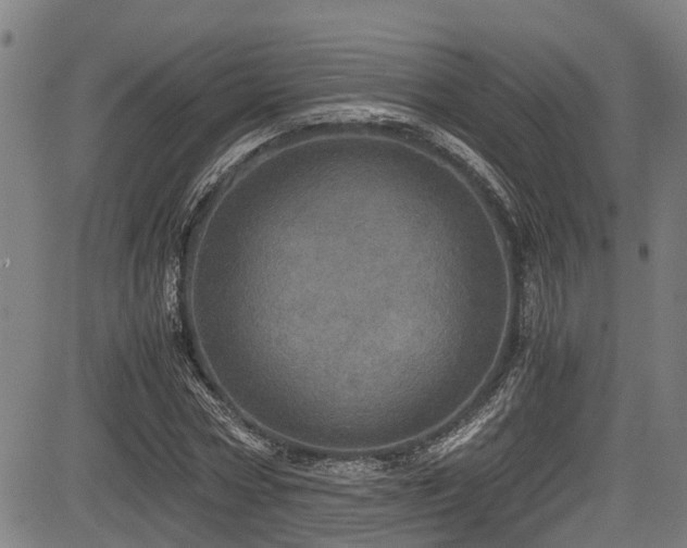 X0000083980778200702161102