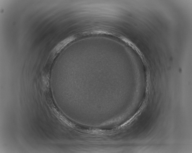 X0000083980785200702161102