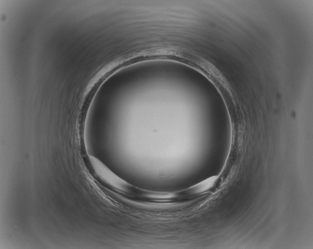 X0000083980789200702161102