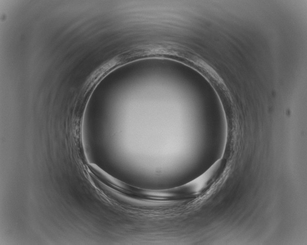 X0000083980793200702161102