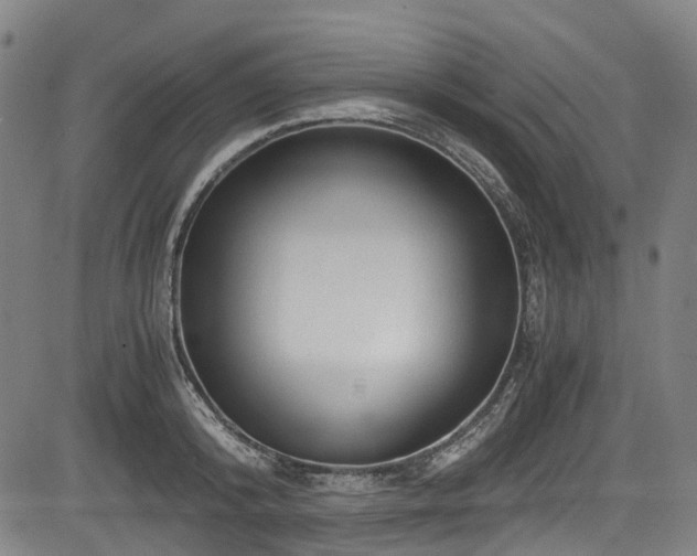 X0000083980800200702161102
