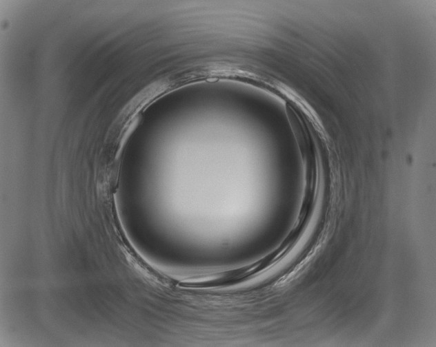 X0000083980801200702161102