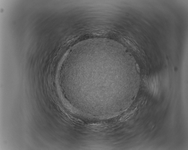 X0000083980817200702161101