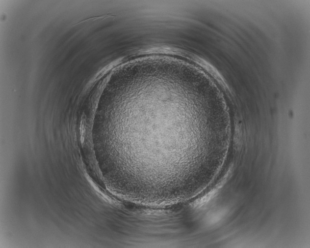 X0000083980849200702161102
