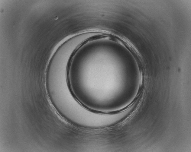 X0000083980854200702161102